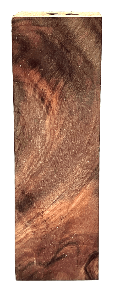 Stabilisierte Feuerlandkirsche 13 - Knifematerial.at