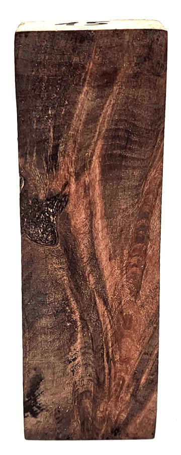 Stabilisierte Feuerlandkirsche 15 - Knifematerial.at