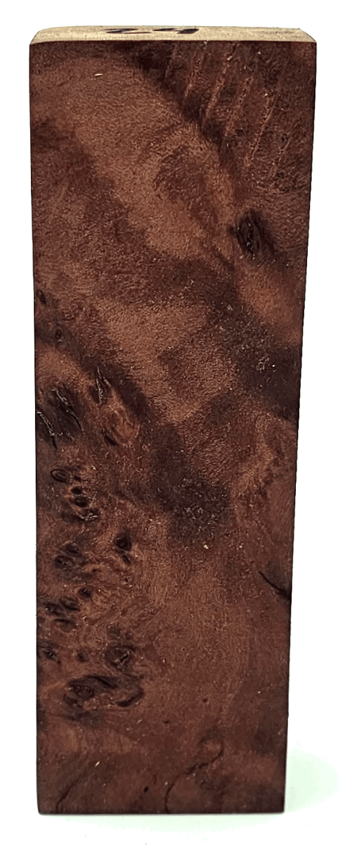 Stabilisierte Feuerlandkirsche 24 - Knifematerial.at