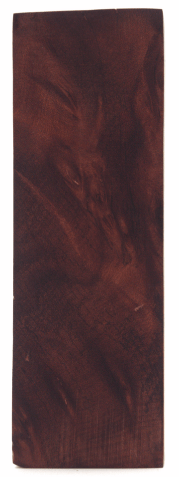 Stabilisierte Feuerlandkirsche #30 - Knifematerial.at 