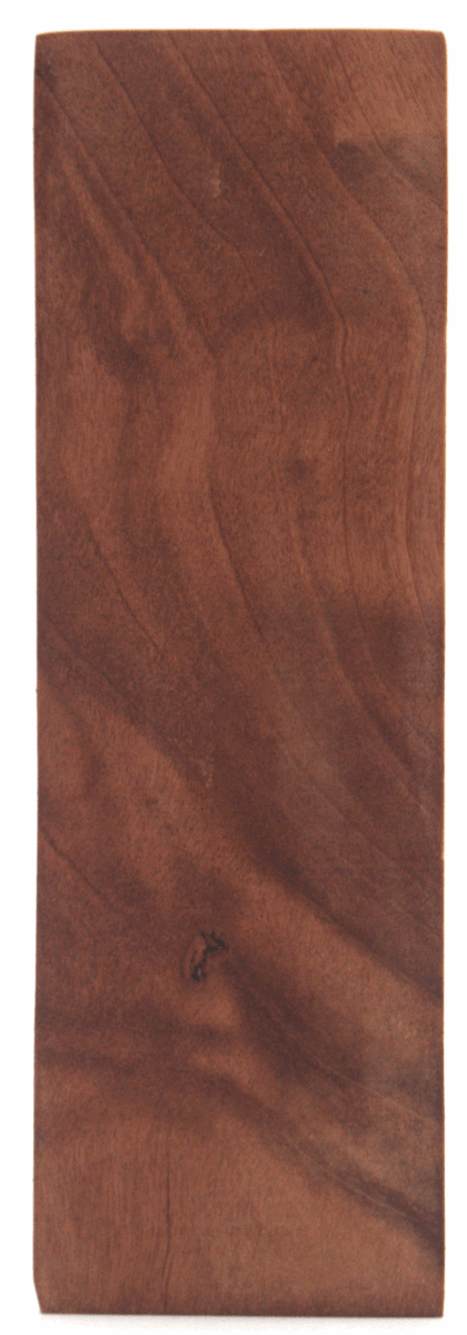 Stabilisierte Feuerlandkirsche #59 - Knifematerial.at 