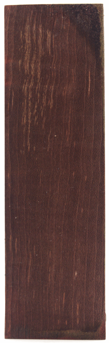 Stabilisierter Riegelahorn 13 - Knifematerial.at