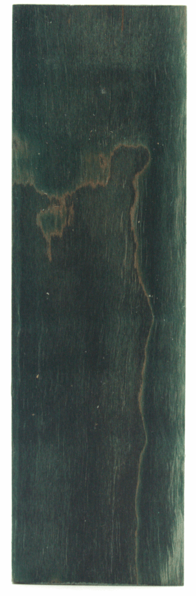 Stabilisierter Riegelahorn 7 - Knifematerial.at